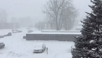 Twin Cities Declare Snow Emergency