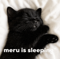 Cat Meru GIF