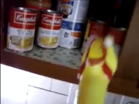 Chicken Soup GIF - Find & Share on GIPHY