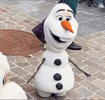 Meme GIF