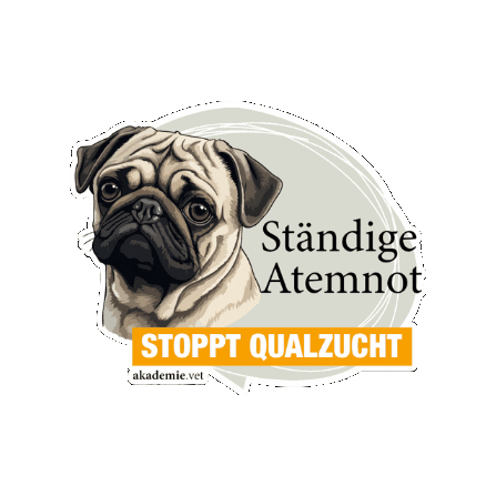 akademievet Sticker