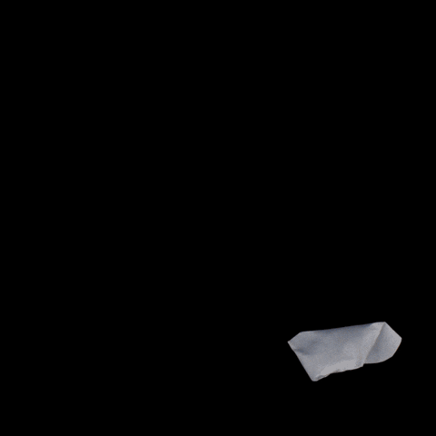 Fish GIF