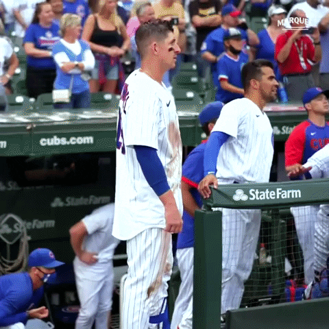 Cubs Walkoff GIF by Marquee Sports Network
