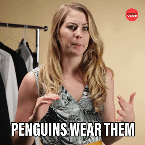 Penguins Tuxedos GIF by BuzzFeed