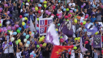 ligue 1 party GIF by Toulouse Football Club