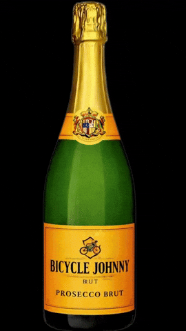 Celebration GIF by Bicycle Johnny