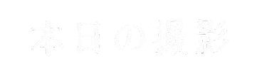 カメラ 写真 Sticker