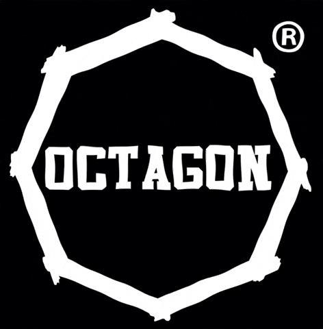 OCTAGON_fw octagon tyleszansileodwagi włączodwagę GIF