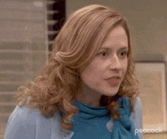 That Is Amazing Season 5 GIF by The Office