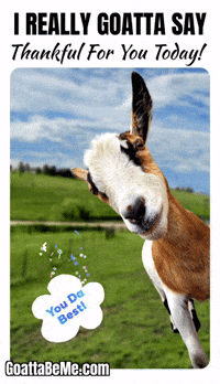 This Anime Is Really Cute GIFs - Find & Share on GIPHY