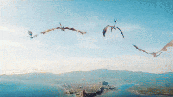 Dragons GIF