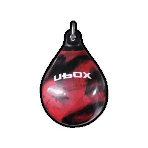 Brisbane Boxing Sticker