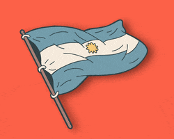 Vamos Argentina World Cup GIF by Homme Jaune