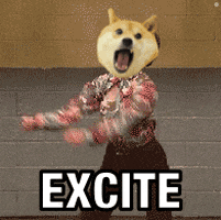 Crypto Excite GIF by MemeMaker