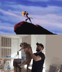 Lion-king-funny GIFs - Get the best GIF on GIPHY