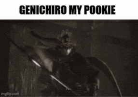 Dark Souls Sekiro GIF
