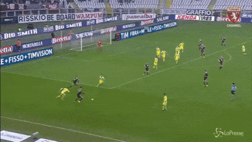 FLC  GIF