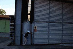 pandascoffee coffee costa rica specialty coffee green beans GIF