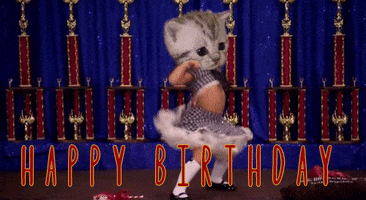 Digital art gif. Kitten's head has been photoshopped on top of a woman who is doing the pump dance with full energy. The kitten's face is deadpan as the woman's body jams on stage. Text, "Happy Birthday!"