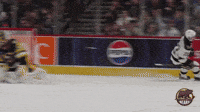 Goal Celebration GIF by Hershey Bears