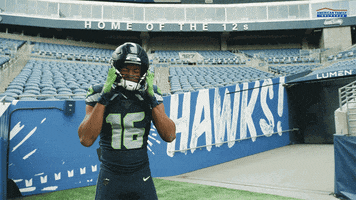 Seattle Seahawks Football GIF by American Family Insurance