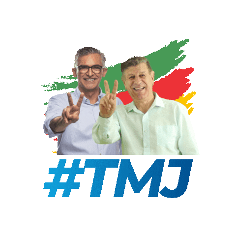 Viana Sticker by deputadoviana