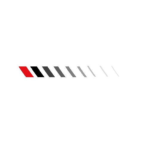 RX2 DRIVER DEVELOPMENT PROGRAM Sticker