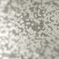 new year gif GIF by midnightcake