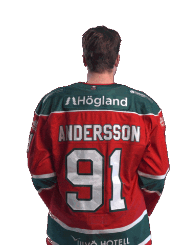 Sticker by MoDo Hockey