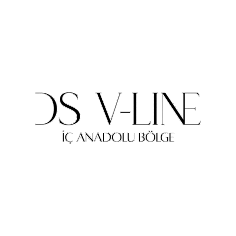Dsvline İç Anadolu Sticker