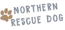 Dog Adopt Sticker by New Collar Collective