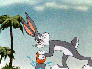 Looney Tunes Florida GIF - Find & Share on GIPHY