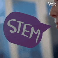 Verkiezingen Stemvolt GIF by VoltNL