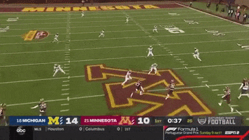 Michigan Football GIF