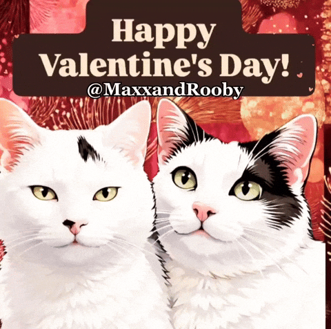 Valentines Day Cats GIF