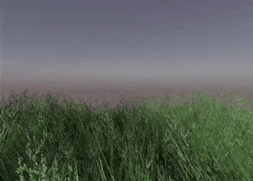 Summer Morning GIF