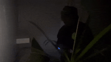 Alabama GIF by Casanova Records