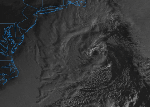 giphy.gif?cid=790b761197cb8f9d887f04b063