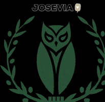 Josevia oil oliveoil josevia GIF