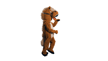 Horse Riding Sticker by PARTNER PFERD