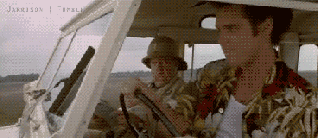 Ace Ventura GIF