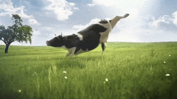 Yoga GIF