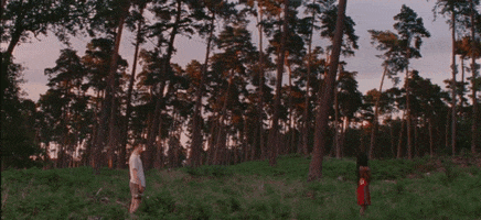 Field Forrest GIF by Petit Biscuit