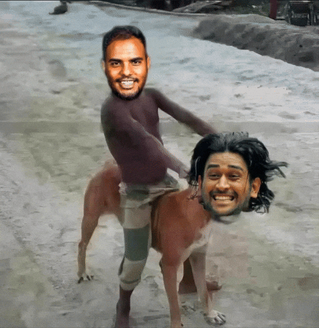 Virat Kohli Dog GIF