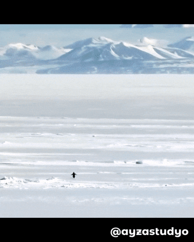 Survive Werner Herzog GIF by Ayza Stüdyo