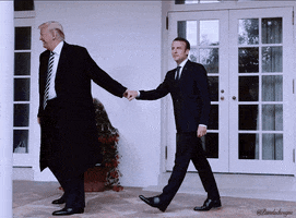 Trump Macron GIF
