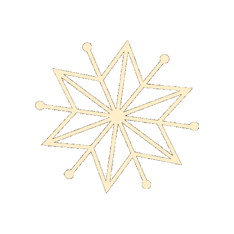 Christkindlmarkt Sticker by erding