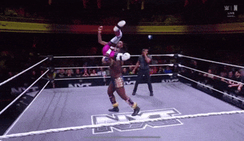 Wwe GIF
