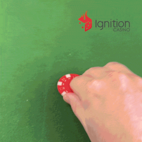 Card Game Humor GIF by Ignition Casino