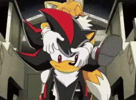 Shadow The Hedgehog GIF